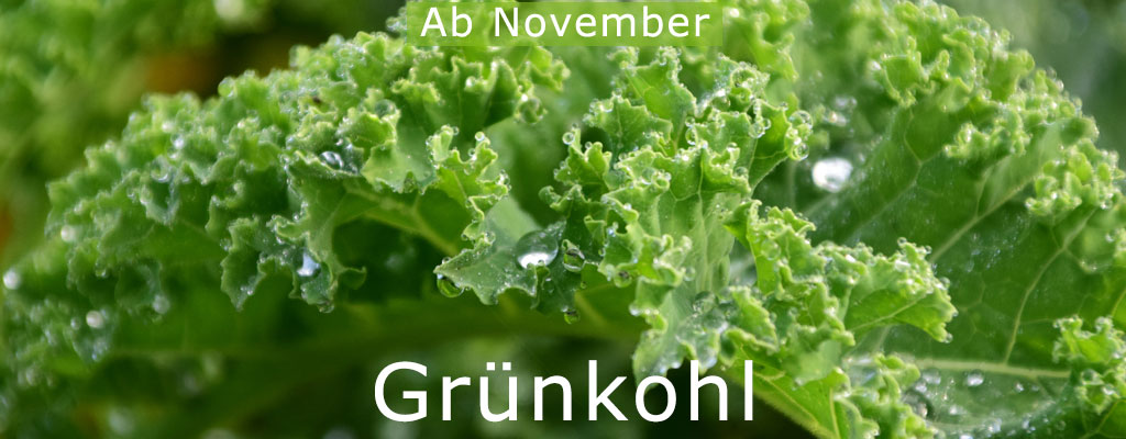 Grünkohl